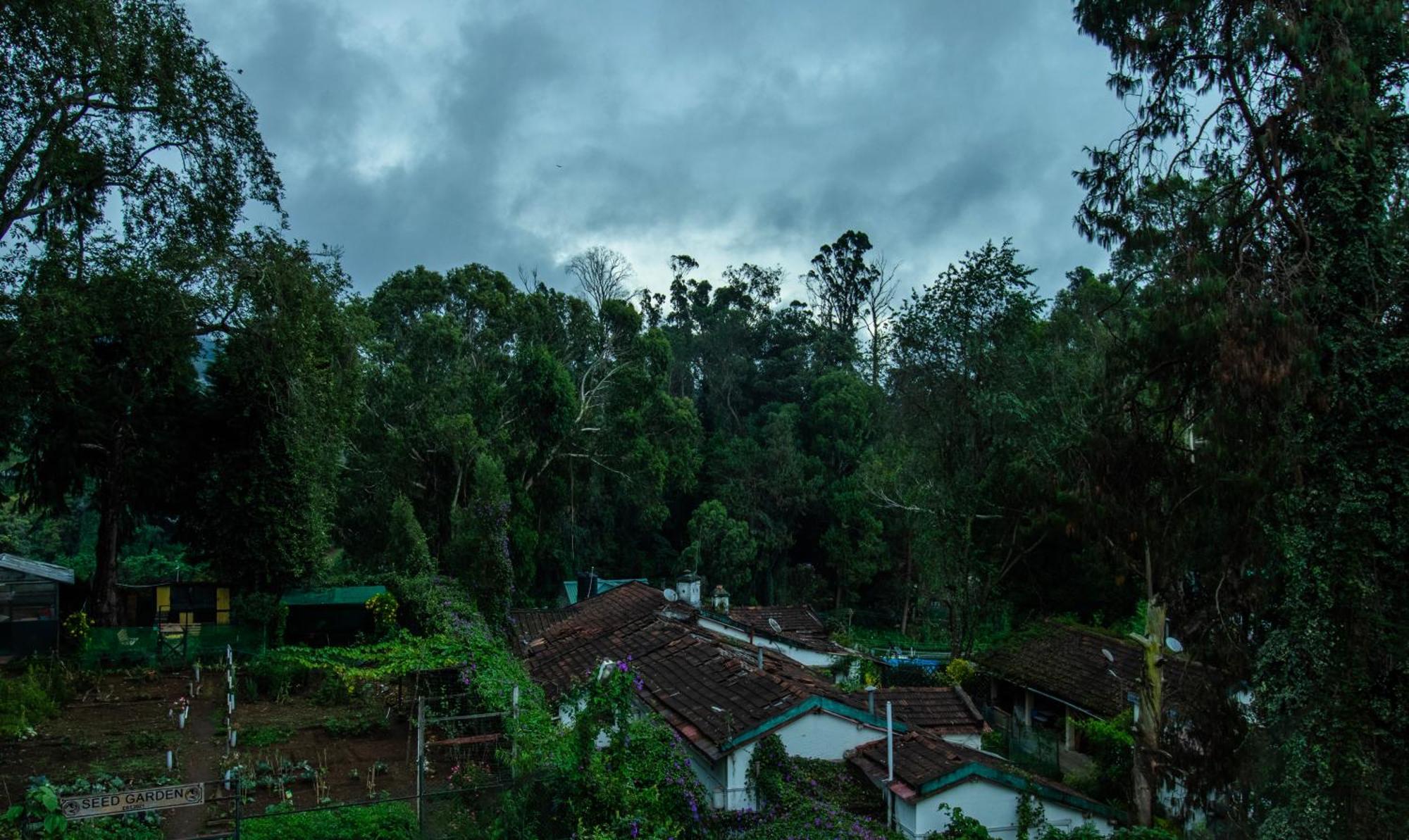 Treebo Kodai Kings Park, 650 M From Kodai Lake Kodaikanal Kültér fotó